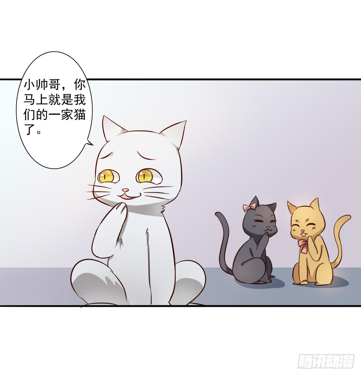《双喵图腾》第003话 第25页