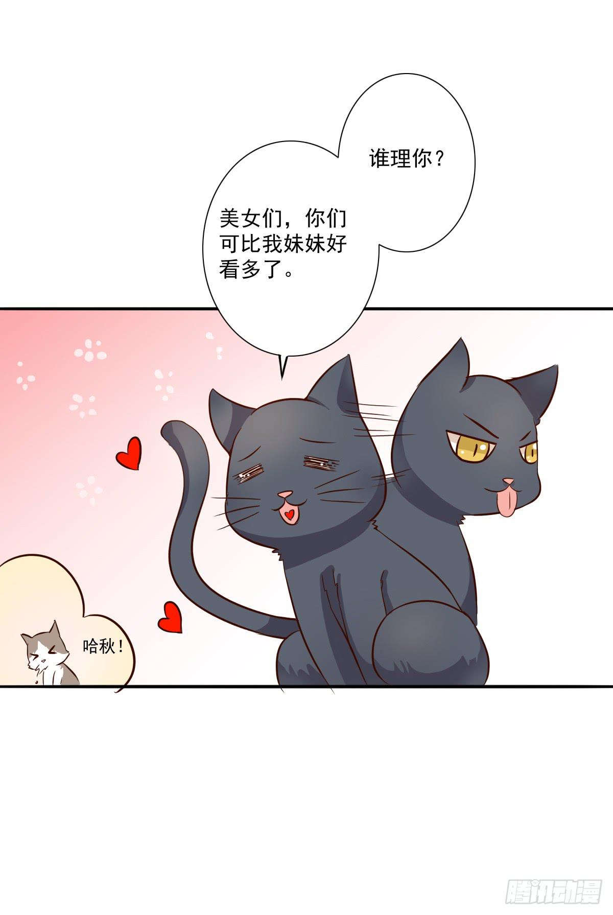 《双喵图腾》第003话 第26页