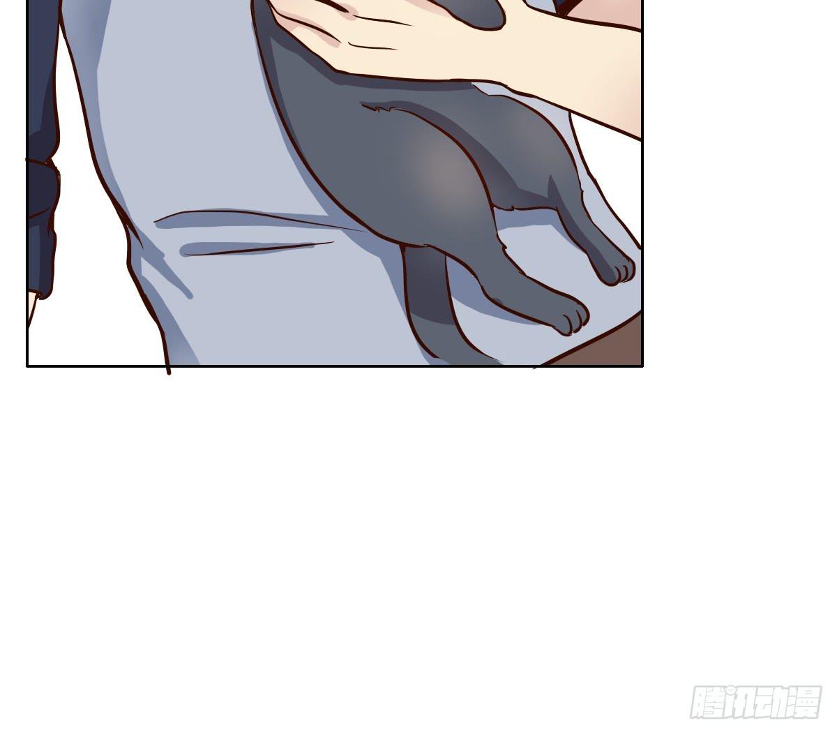 《双喵图腾》第003话 第29页