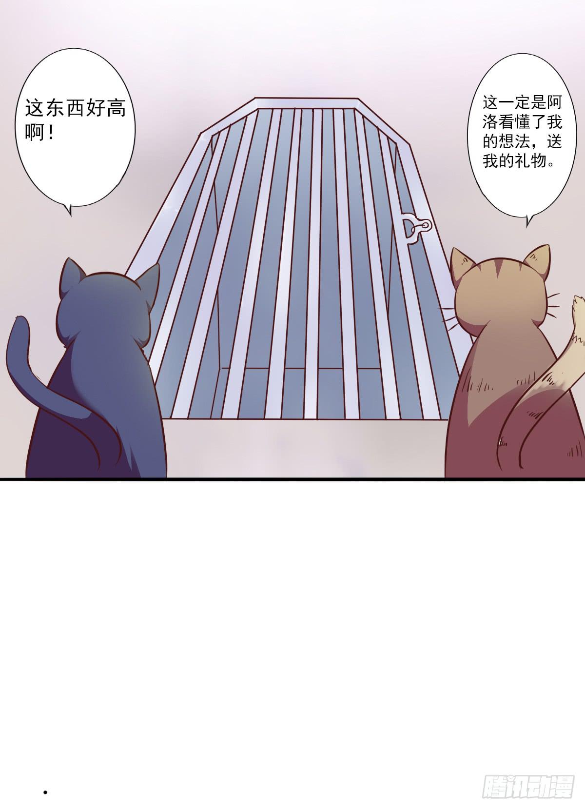 《双喵图腾》第003话 第2页