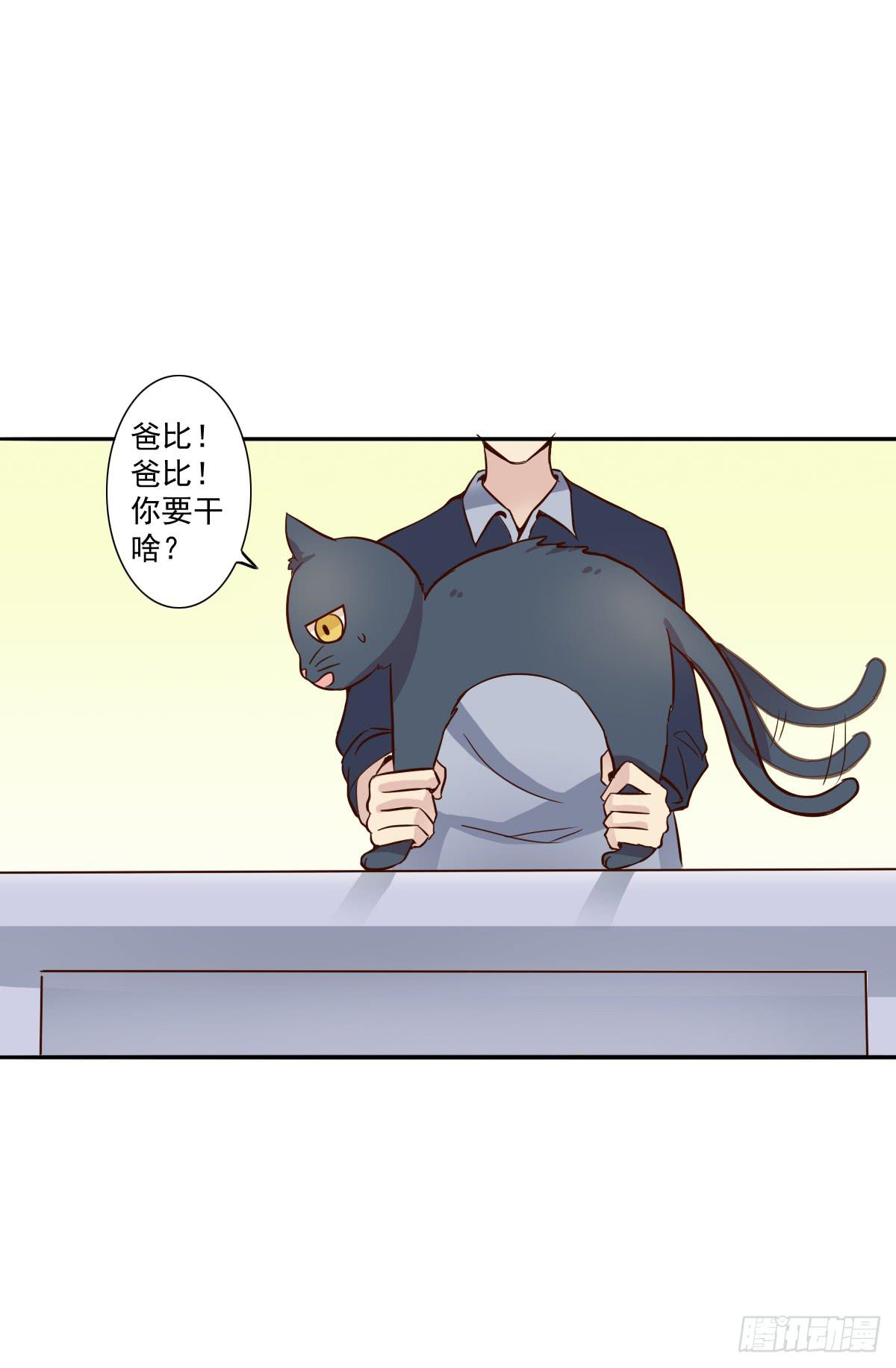 《双喵图腾》第003话 第30页