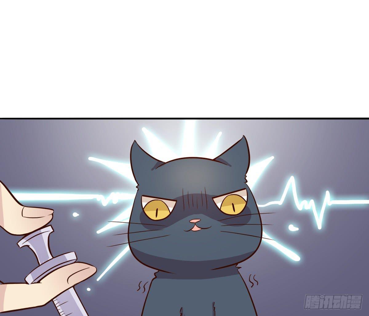 《双喵图腾》第003话 第31页