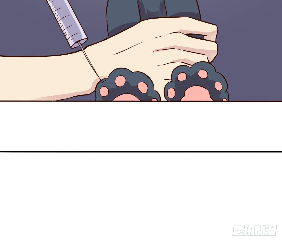 《双喵图腾》第003话 第32页