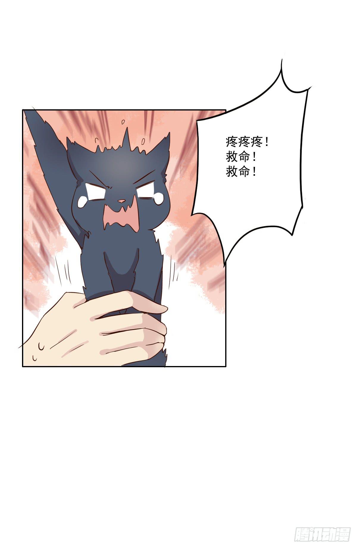 《双喵图腾》第003话 第33页