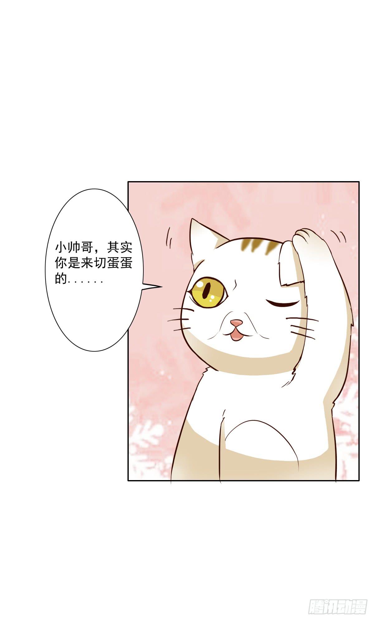 《双喵图腾》第003话 第34页