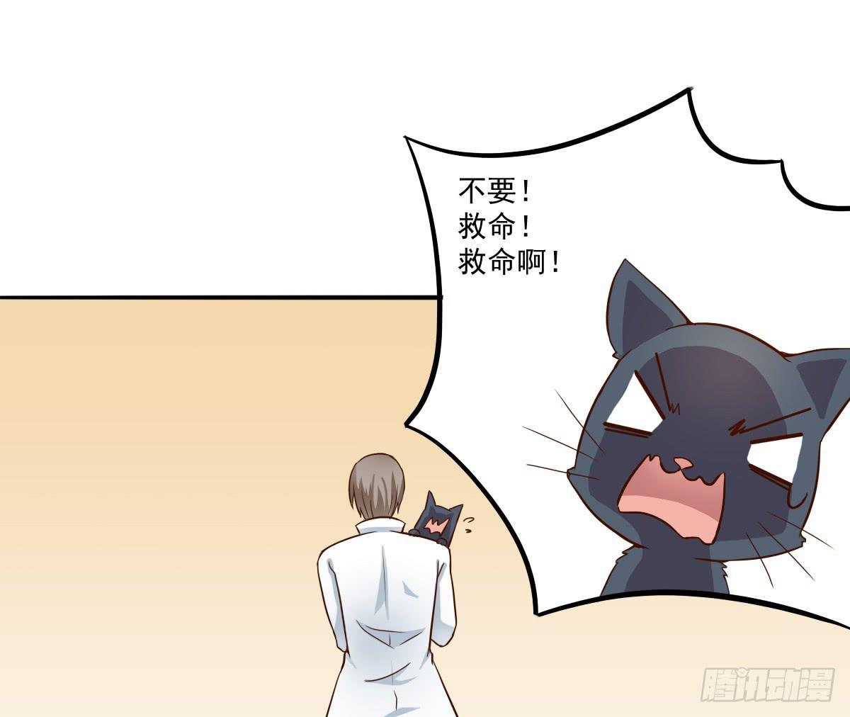 《双喵图腾》第003话 第39页