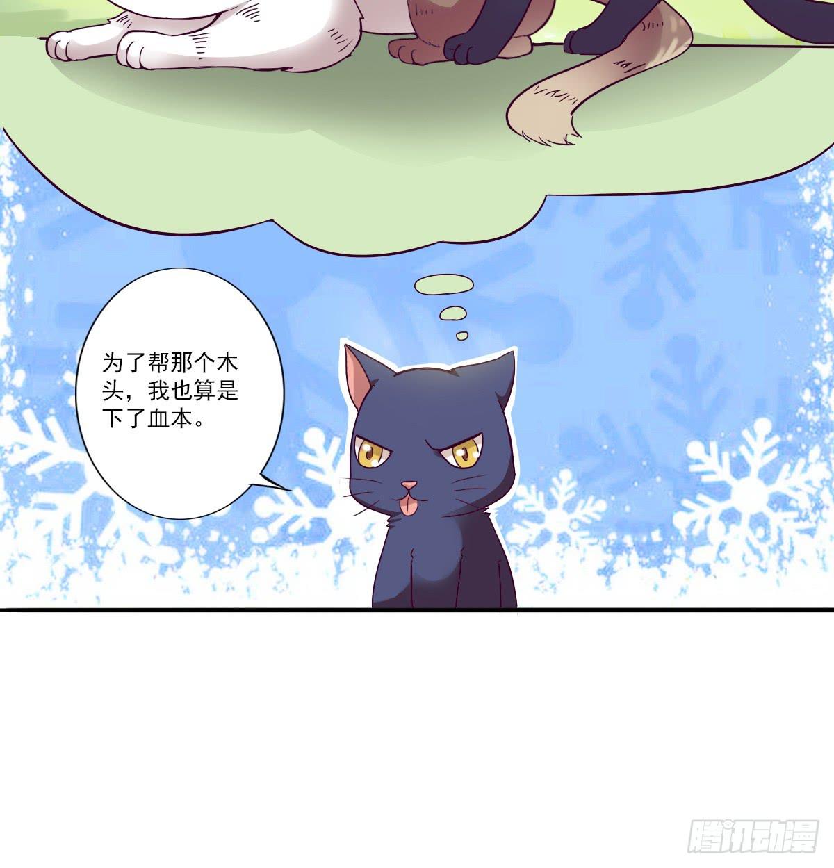 《双喵图腾》第003话 第4页