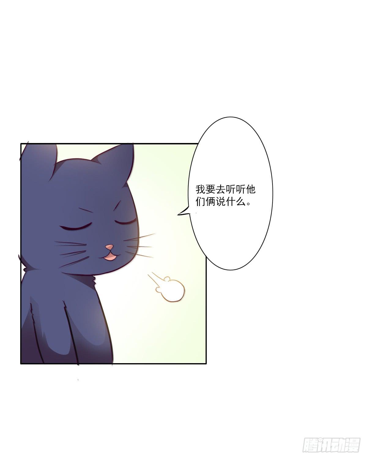 《双喵图腾》第003话 第7页