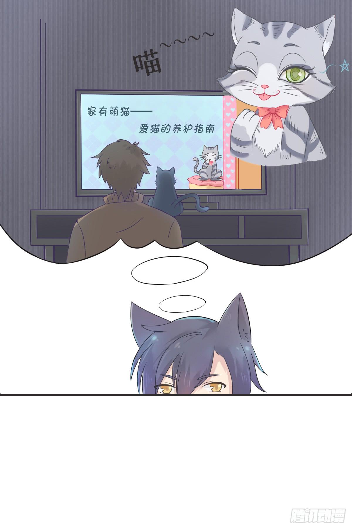 《双喵图腾》第001话 第17页