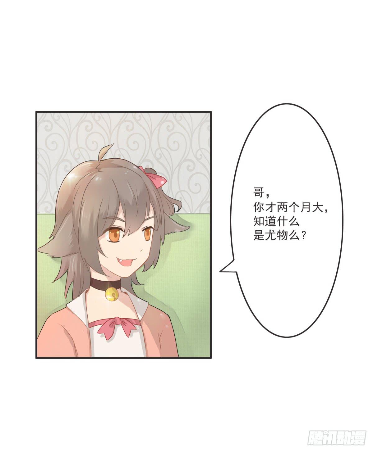 《双喵图腾》第001话 第19页