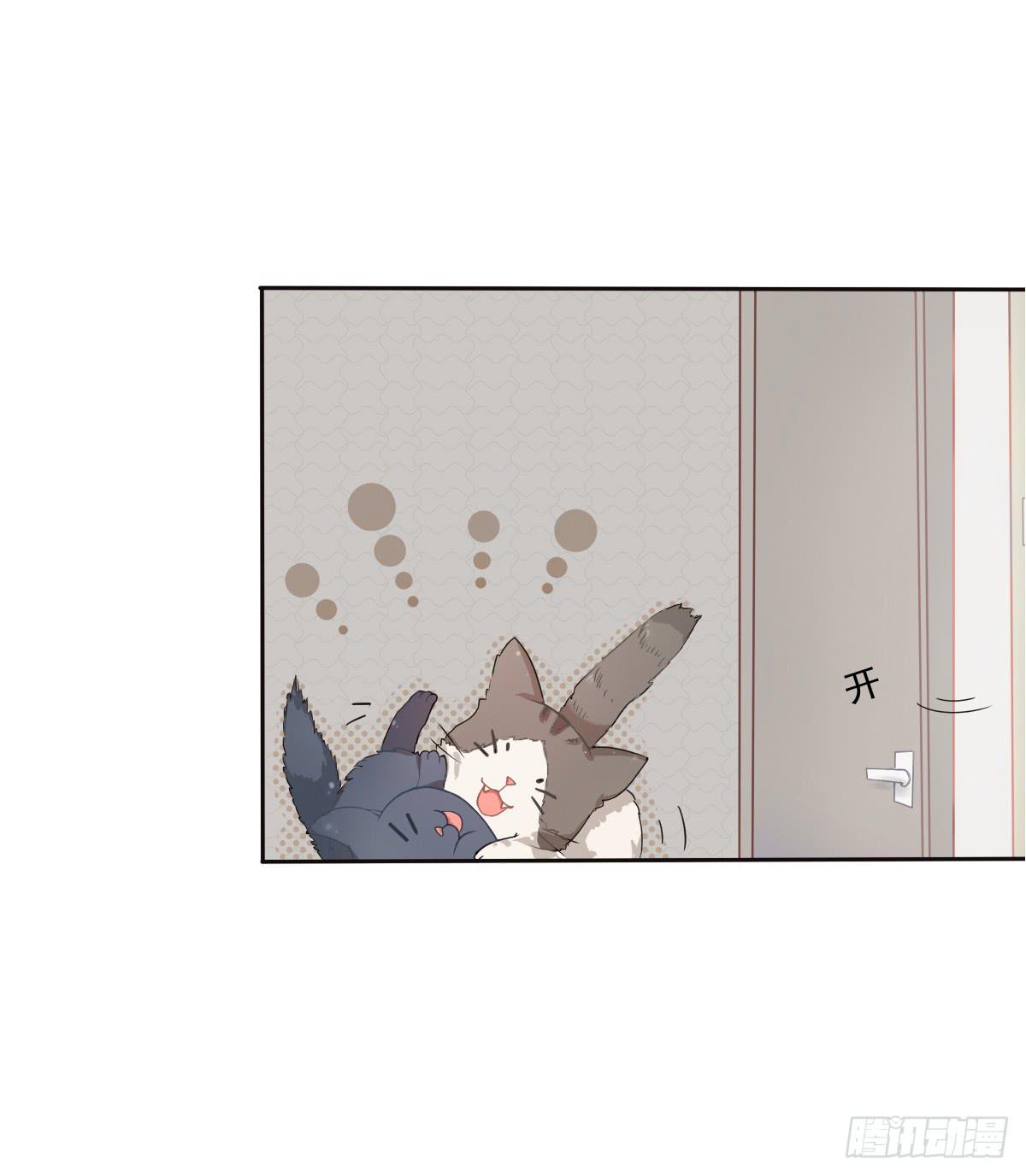 《双喵图腾》第001话 第22页