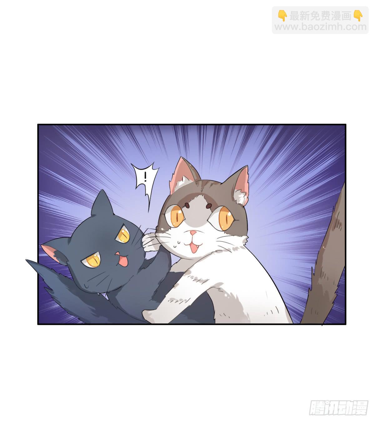 《双喵图腾》第001话 第23页