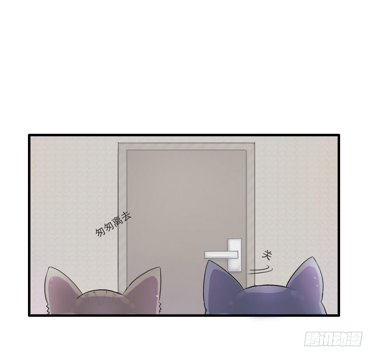 《双喵图腾》第001话 第29页