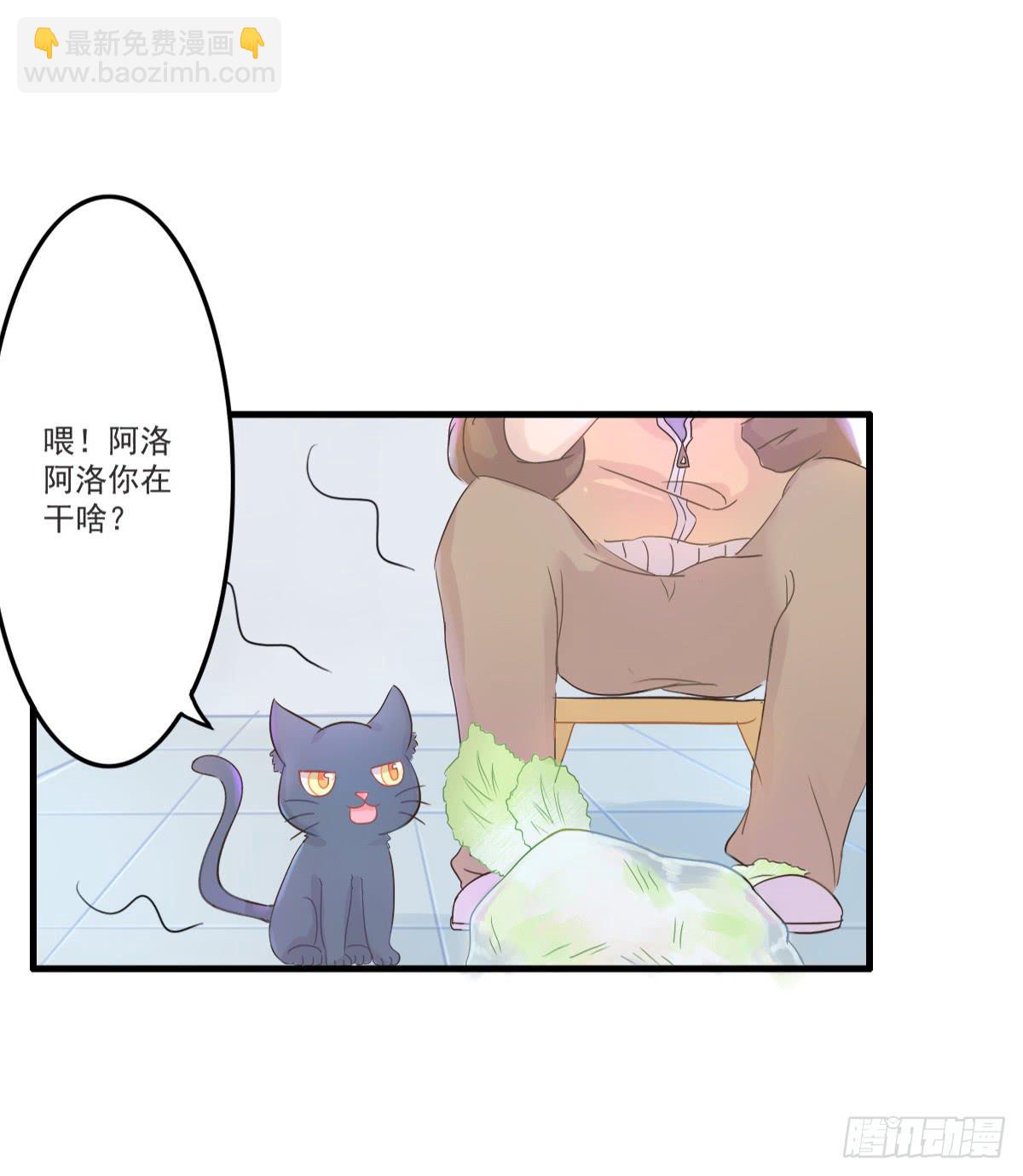 《双喵图腾》第001话 第35页