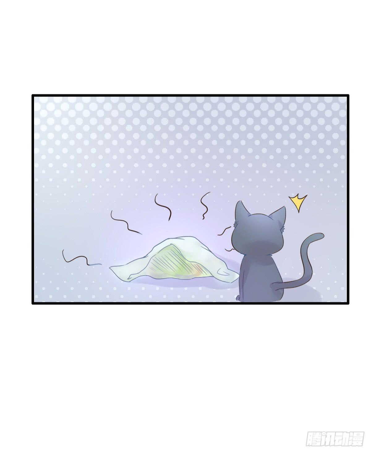 《双喵图腾》第001话 第37页