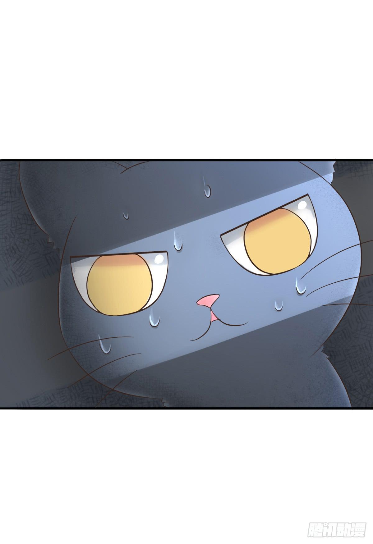 《双喵图腾》第001话 第38页
