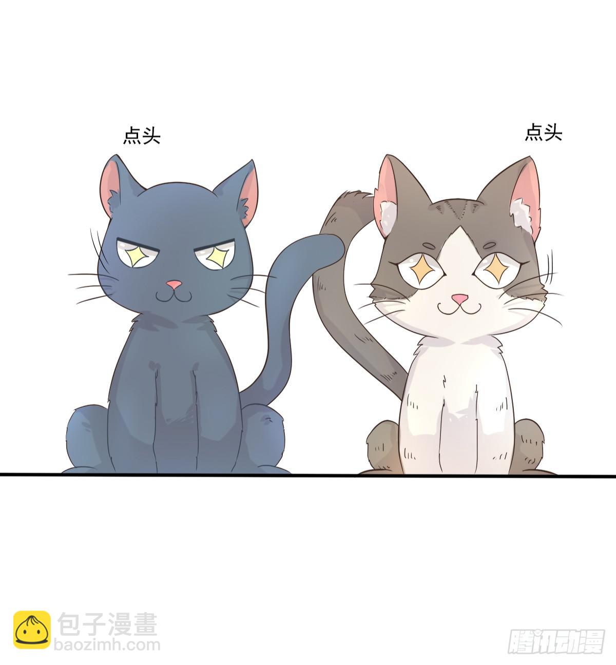 《双喵图腾》第001话 第9页