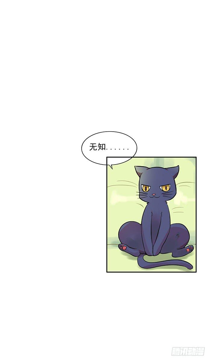 《双喵图腾》第005话 第13页