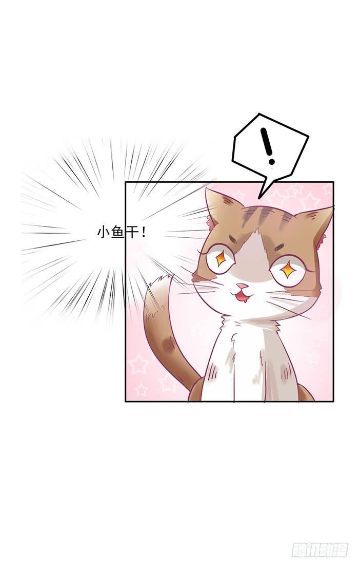 《双喵图腾》第005话 第8页