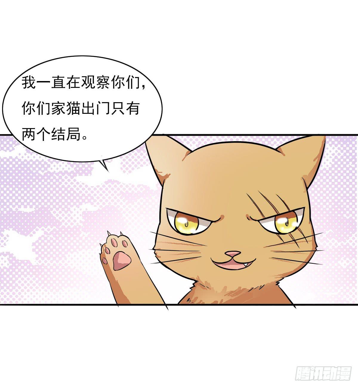 《双喵图腾》第004话 第10页