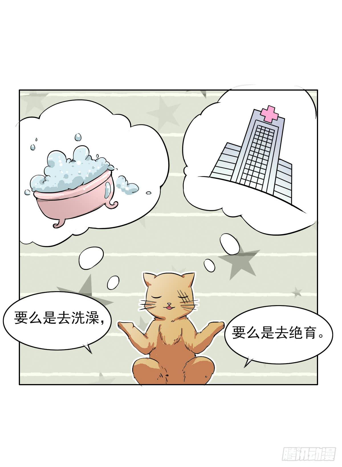 《双喵图腾》第004话 第12页
