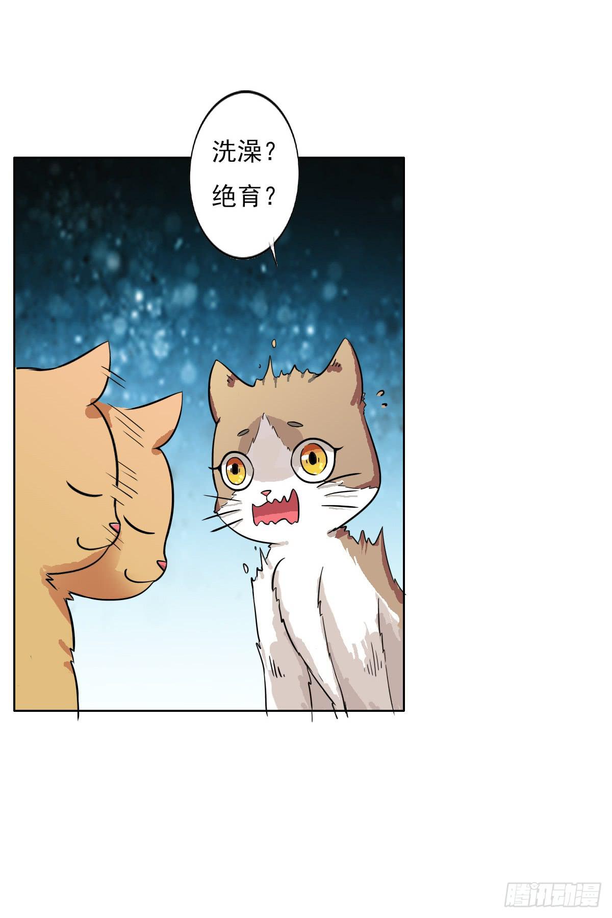 《双喵图腾》第004话 第13页