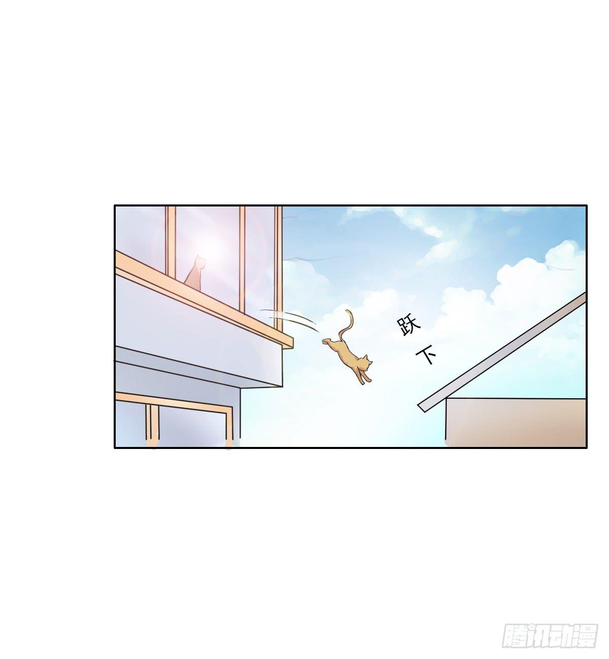 《双喵图腾》第004话 第17页
