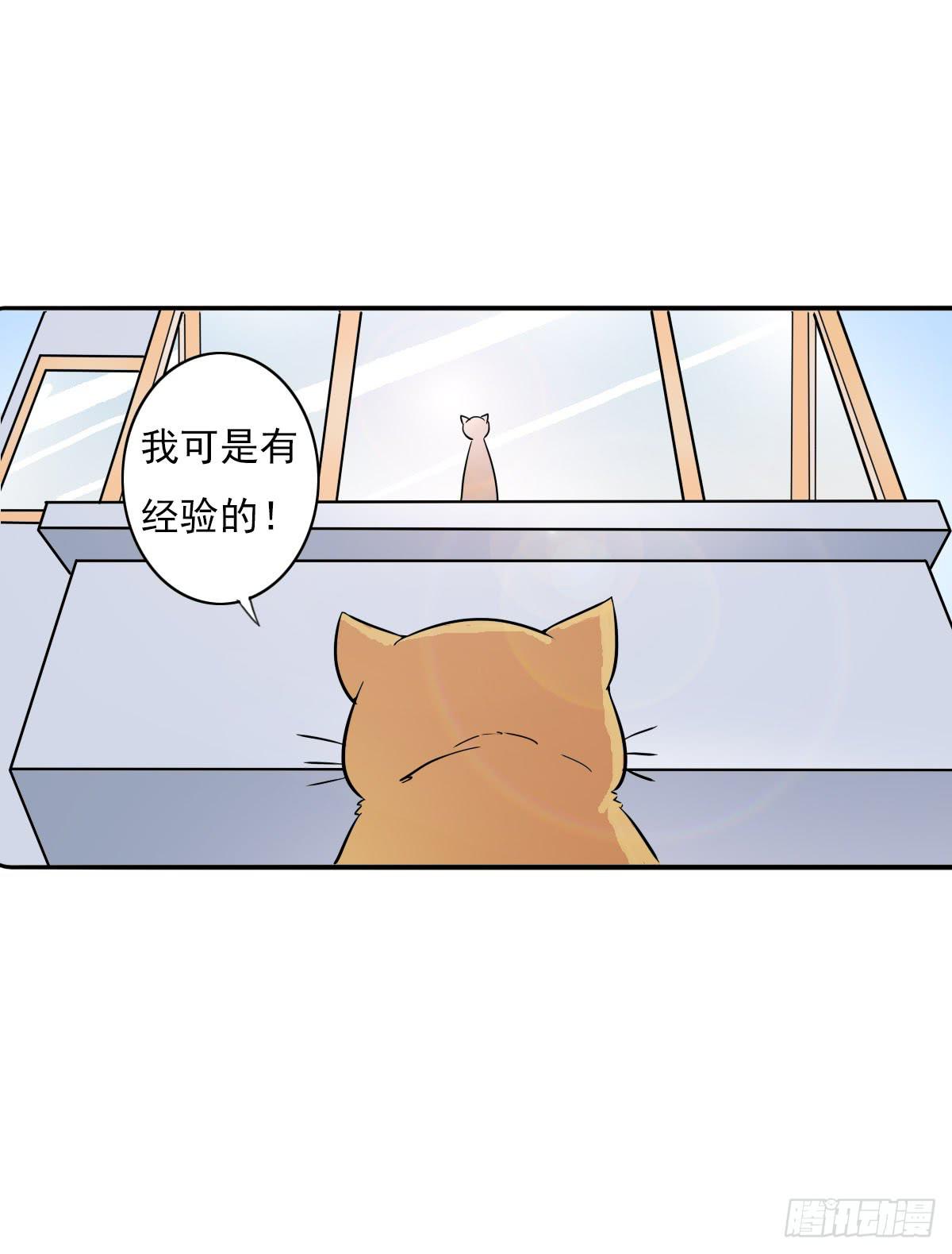 《双喵图腾》第004话 第18页