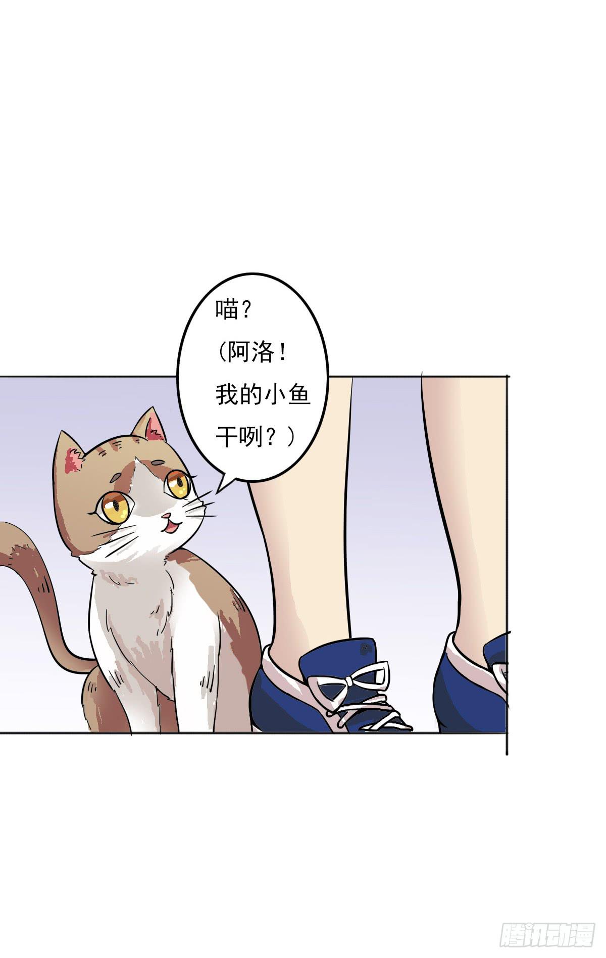 《双喵图腾》第004话 第22页