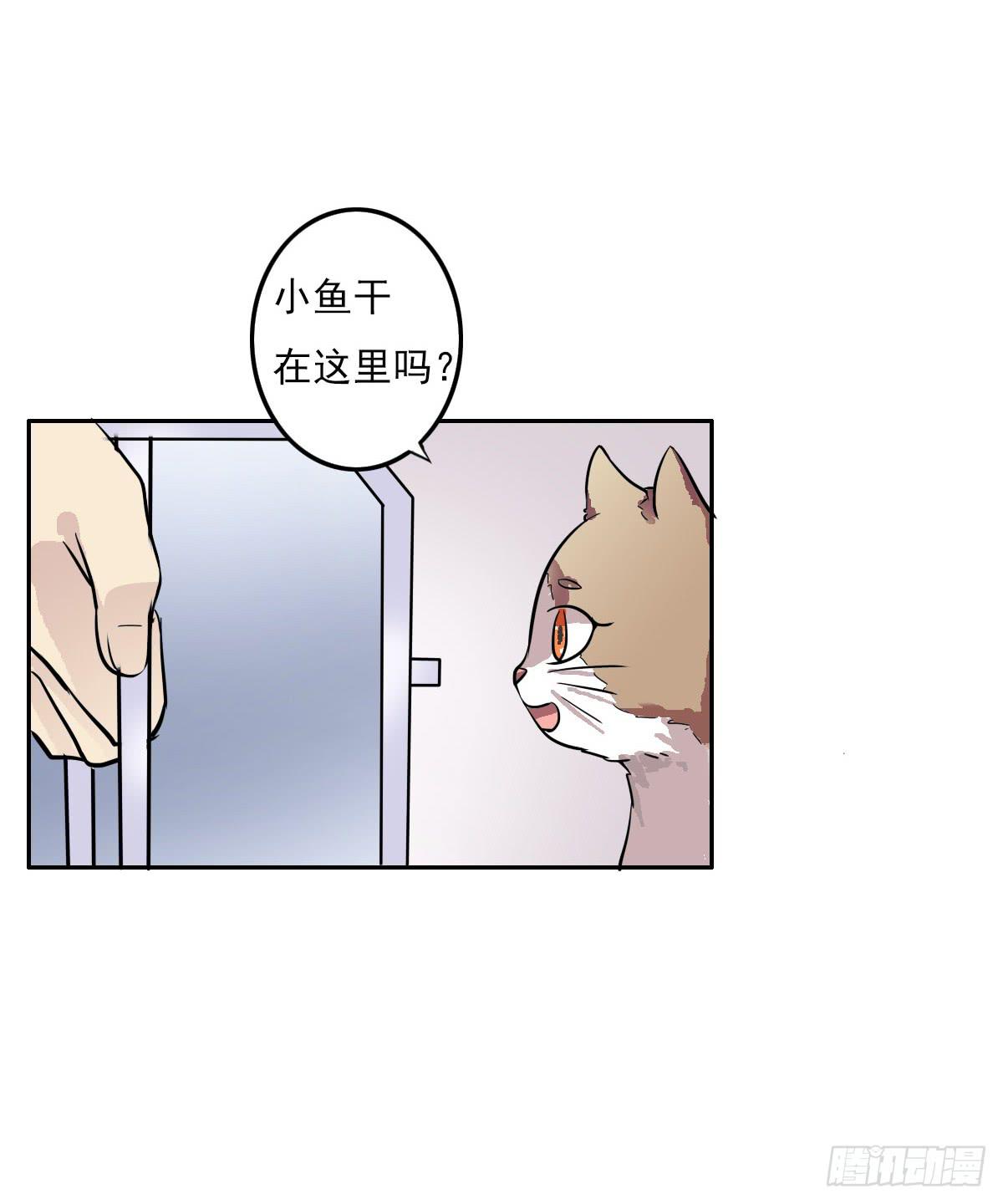 《双喵图腾》第004话 第24页