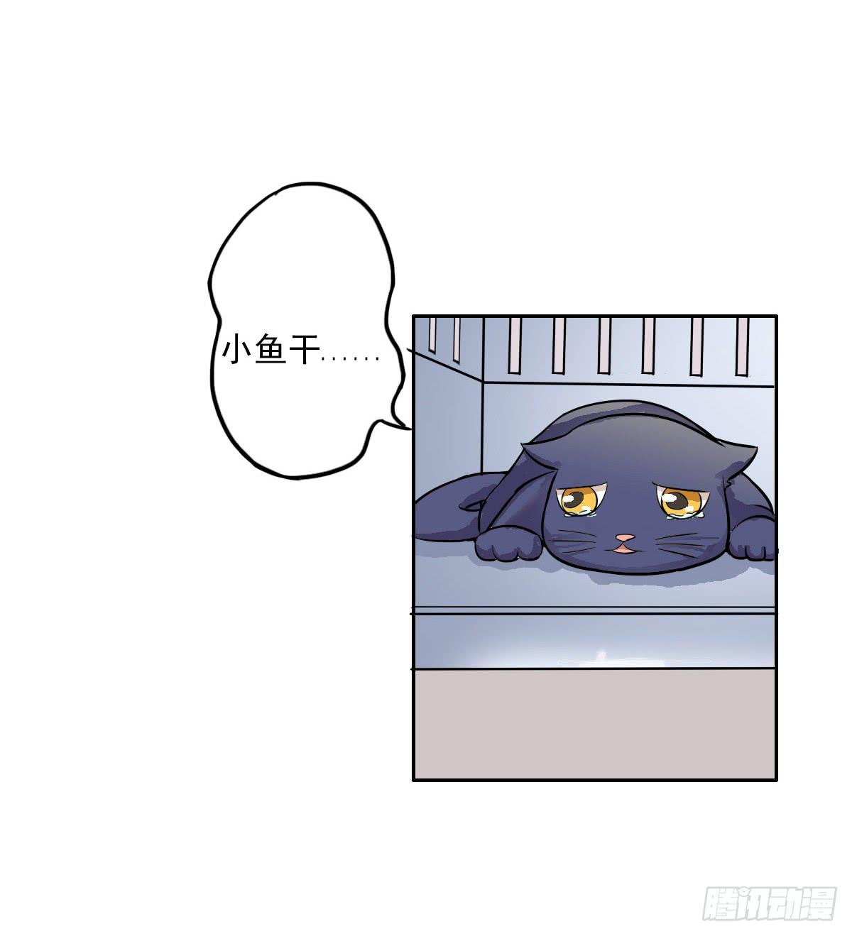 《双喵图腾》第004话 第25页