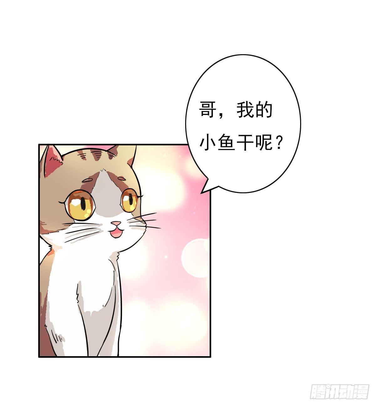 《双喵图腾》第004话 第26页