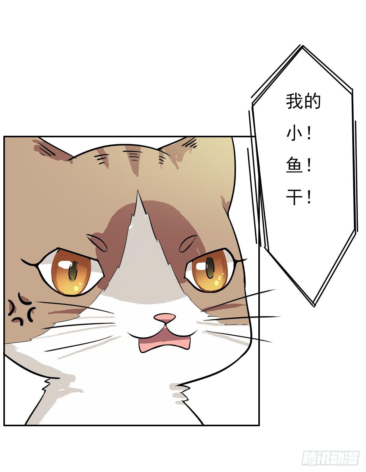 《双喵图腾》第004话 第30页