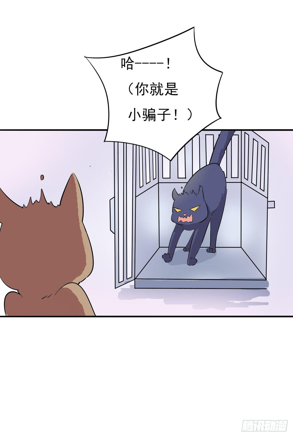 《双喵图腾》第004话 第31页