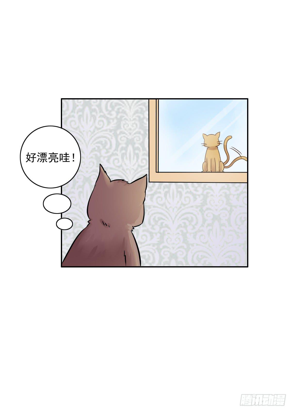 《双喵图腾》第004话 第3页
