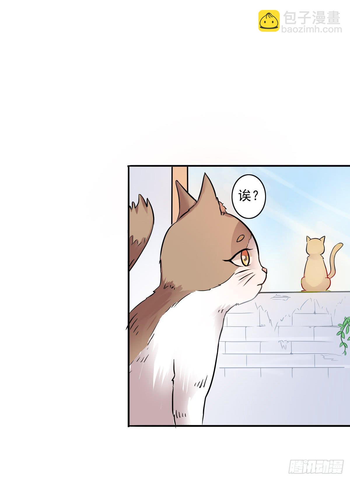 《双喵图腾》第004话 第4页