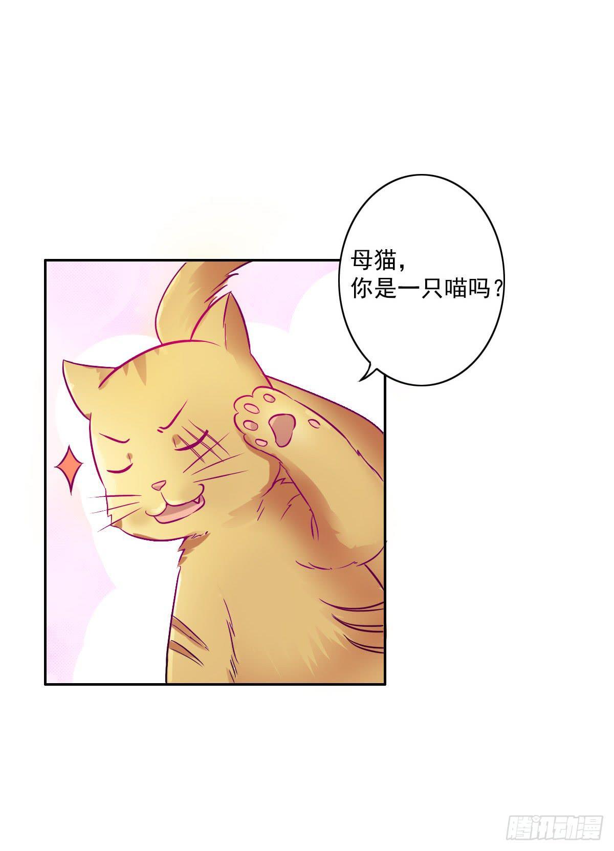 《双喵图腾》第004话 第6页