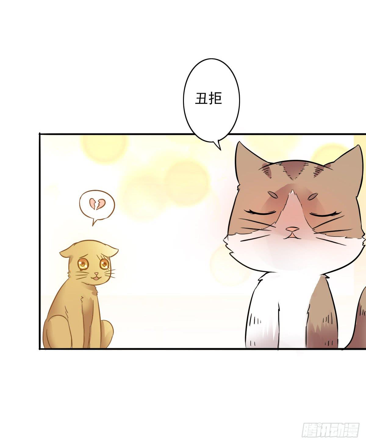 《双喵图腾》第004话 第7页