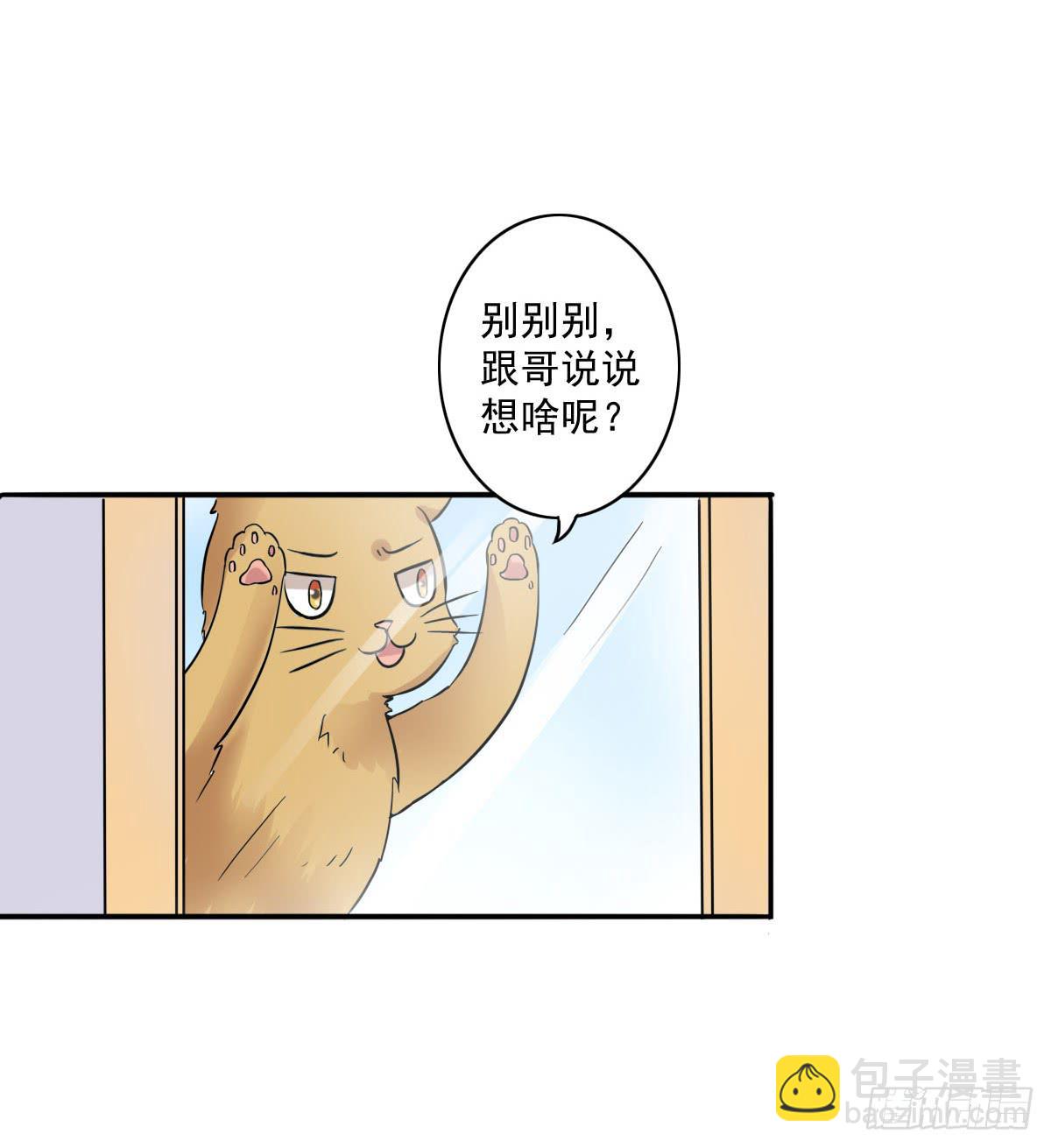 《双喵图腾》第004话 第8页