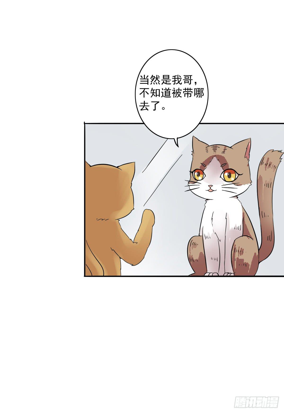 《双喵图腾》第004话 第9页