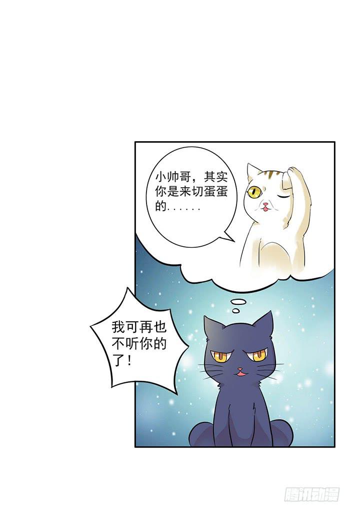 《双喵图腾》第006话 第10页
