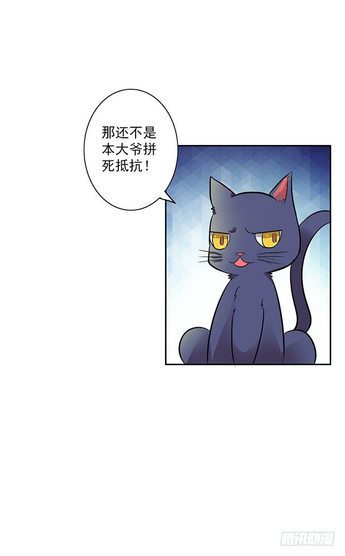 《双喵图腾》第006话 第12页