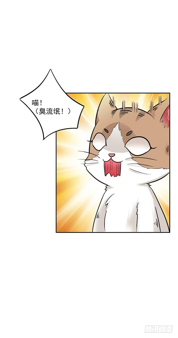 《双喵图腾》第006话 第31页
