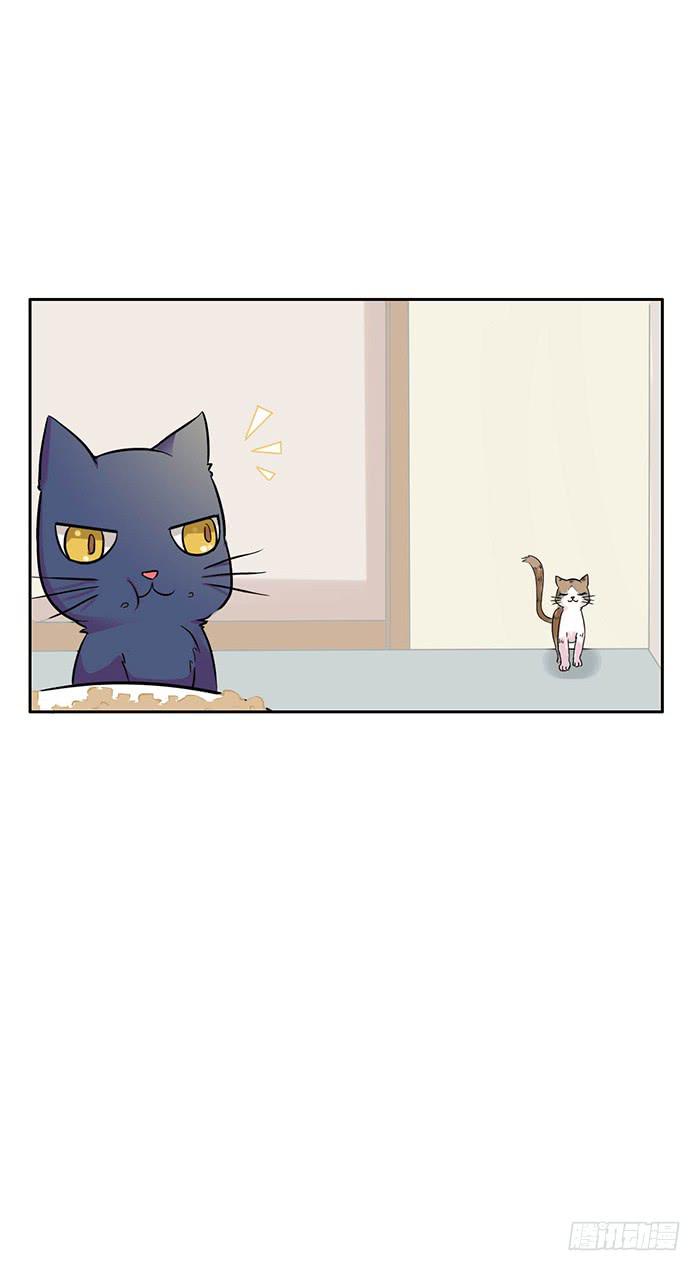 《双喵图腾》第006话 第4页