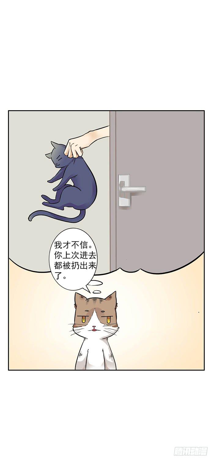 《双喵图腾》第006话 第7页