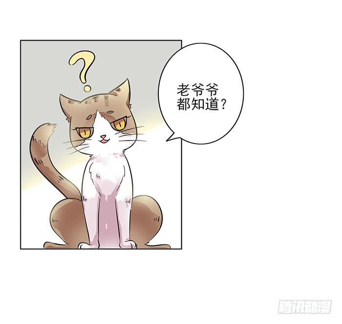 《双喵图腾》第008话 第12页