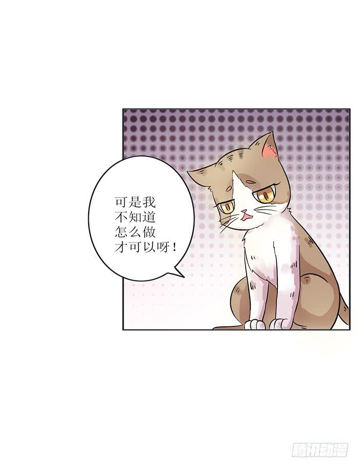 《双喵图腾》第008话 第16页