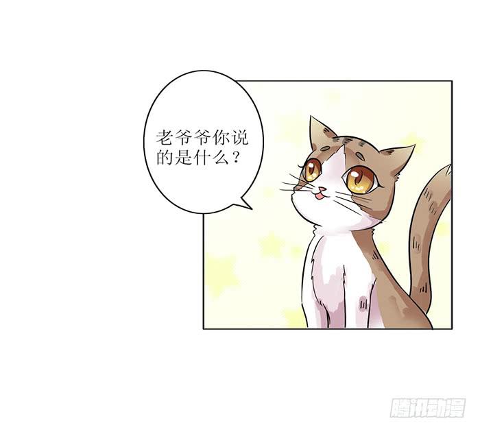 《双喵图腾》第008话 第18页