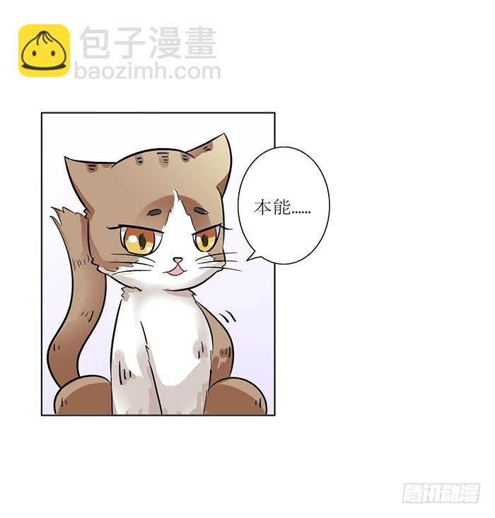 《双喵图腾》第008话 第27页