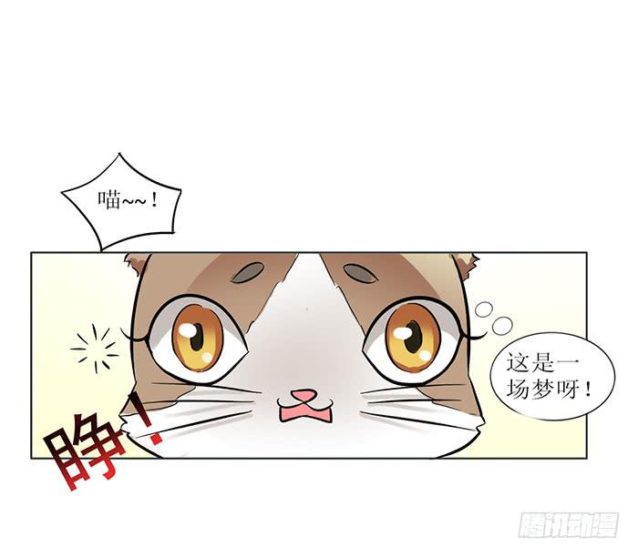 《双喵图腾》第008话 第32页